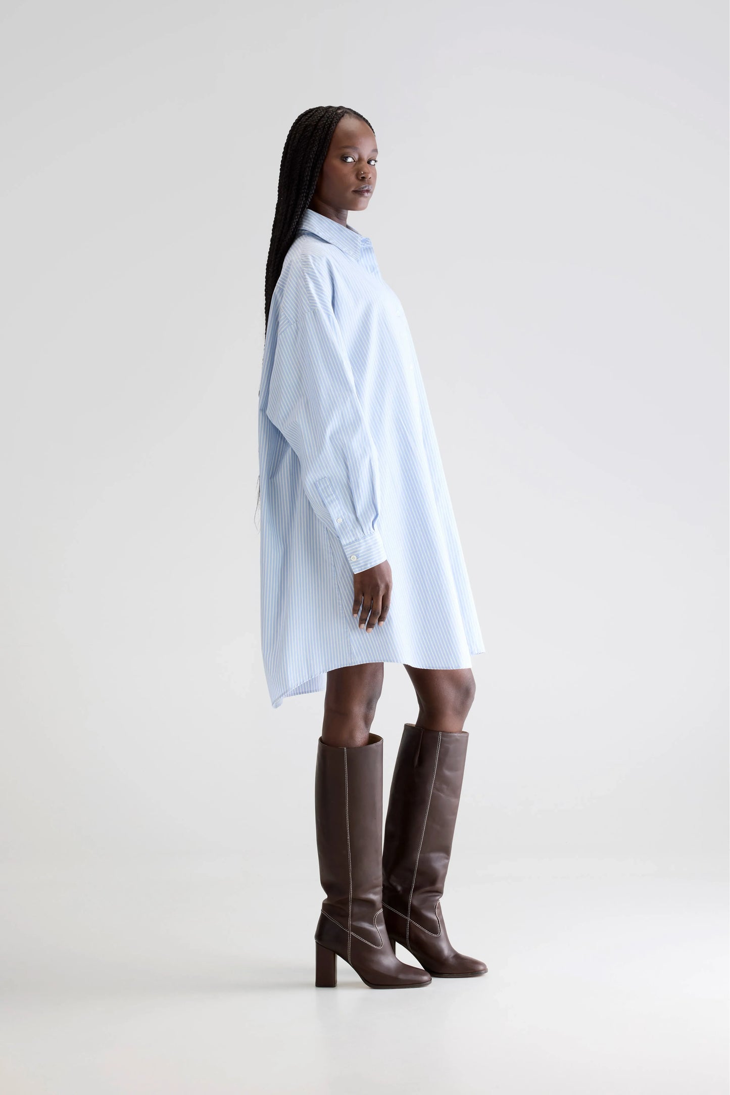 Grappa shirt dress (252 / W / STRIPE W)