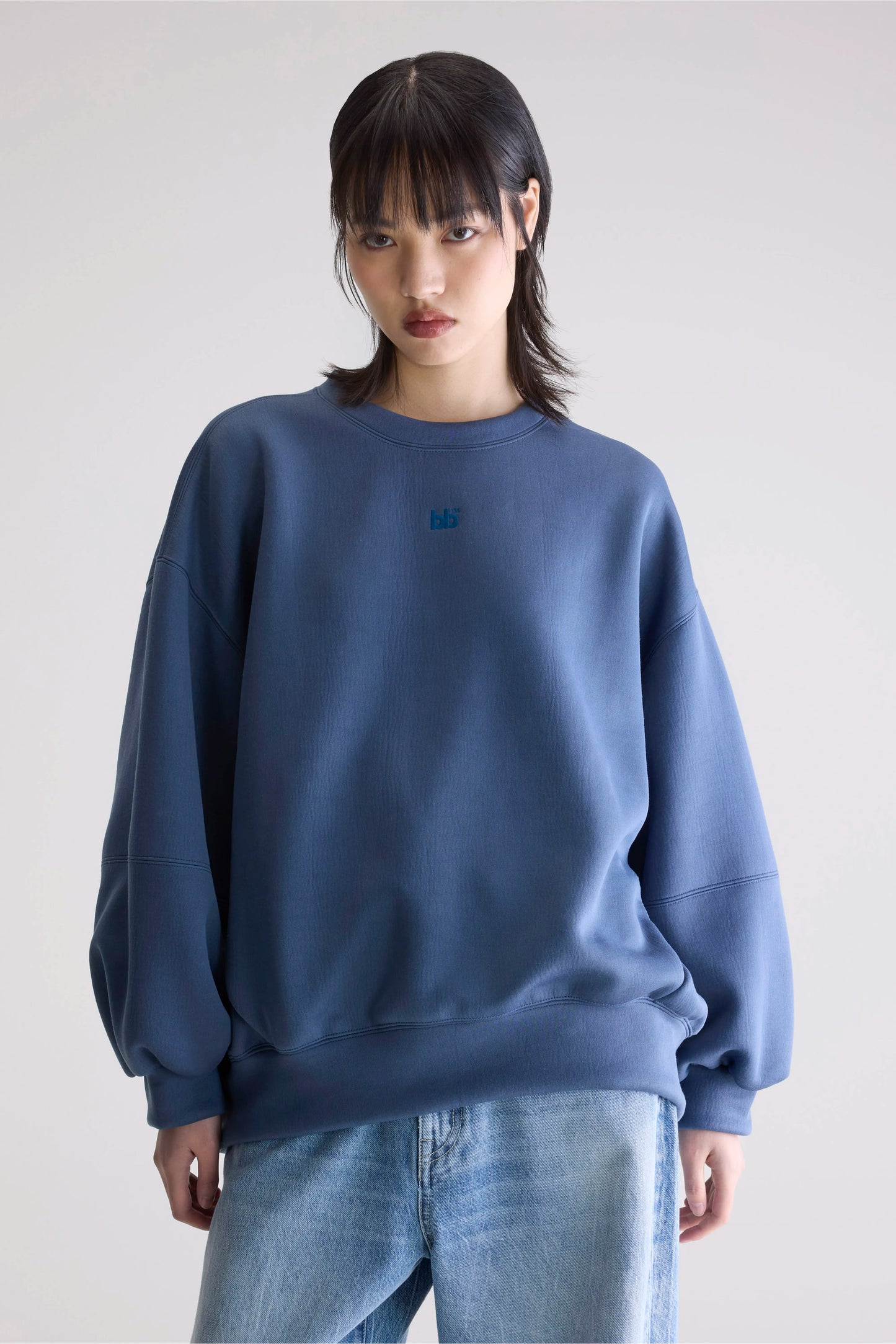 Trig crewneck sweatshirt (252 / W / BLUES)