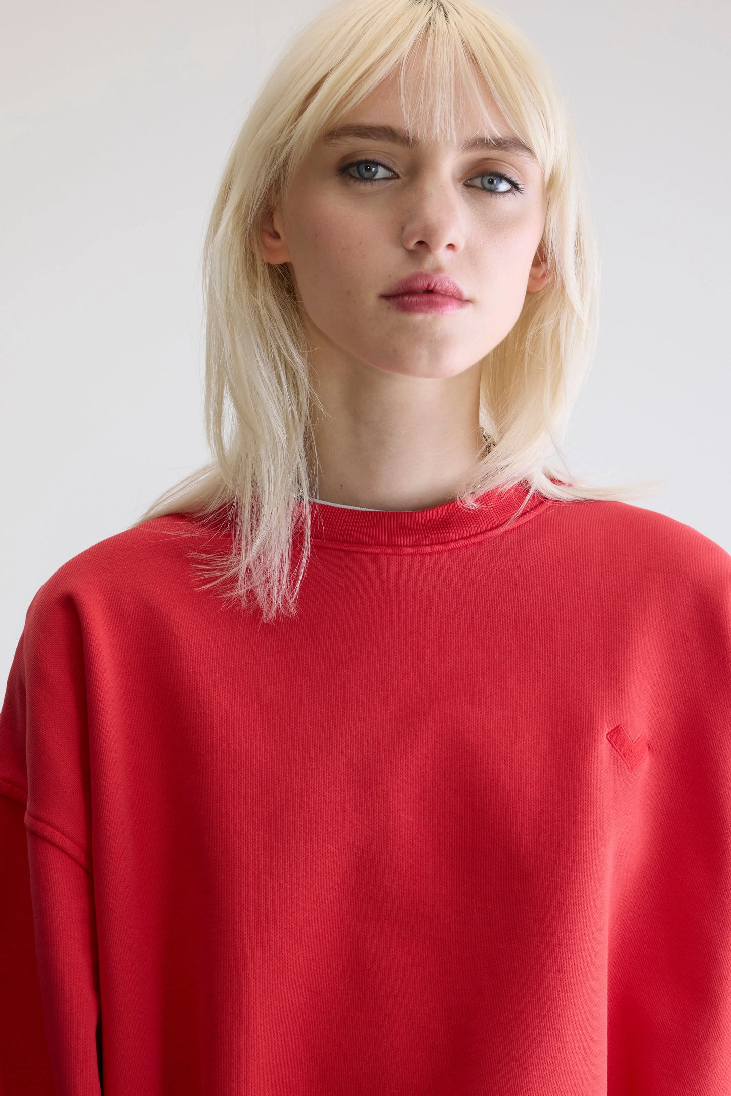 Fancy cropped crewneck sweatshirt (252 / W / SANGUINE)