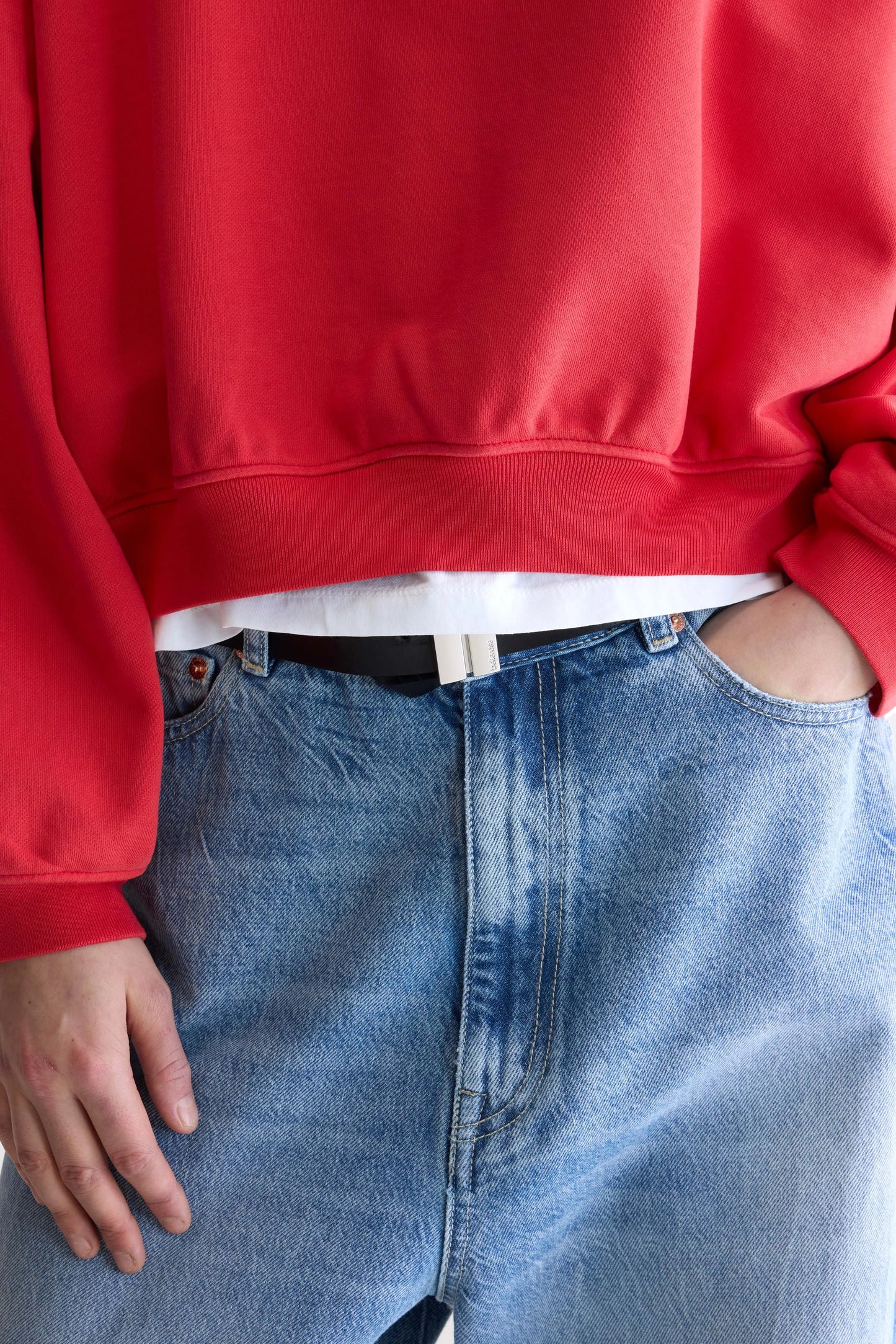 Fancy cropped crewneck sweatshirt (252 / W / SANGUINE)