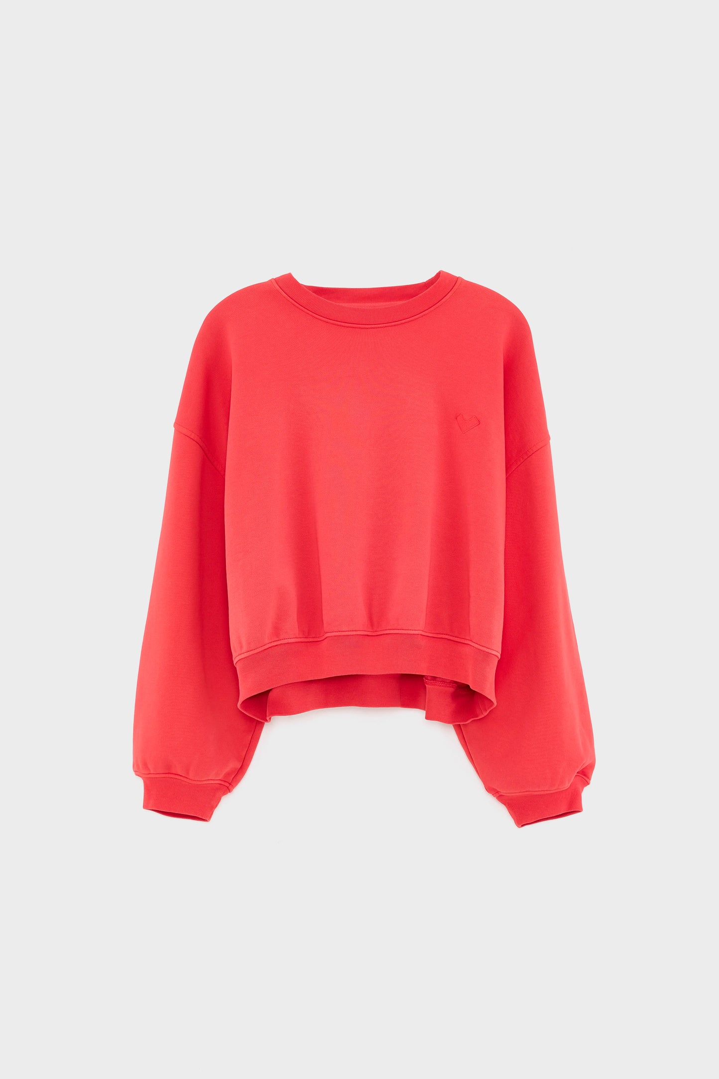 Fancy cropped crewneck sweatshirt (252 / W / SANGUINE)