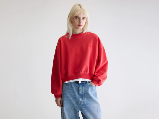 Fancy cropped crewneck sweatshirt (252 / W / SANGUINE)