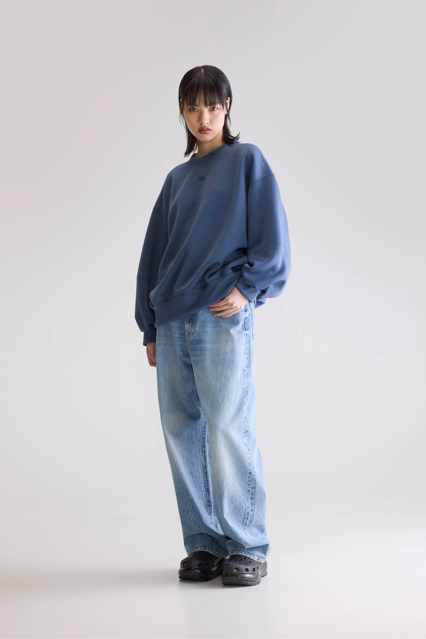 Trig crewneck sweatshirt (252 / W / BLUES)