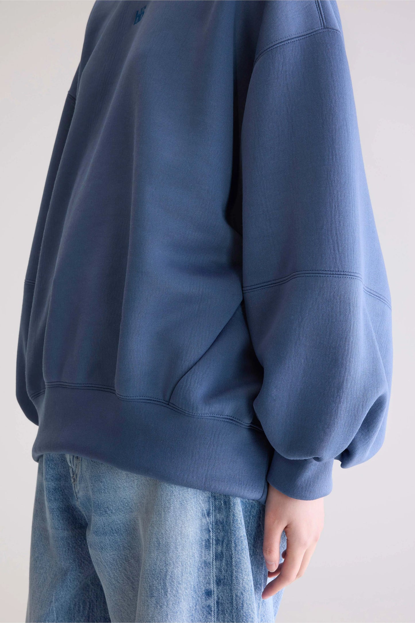 Trig crewneck sweatshirt (252 / W / BLUES)