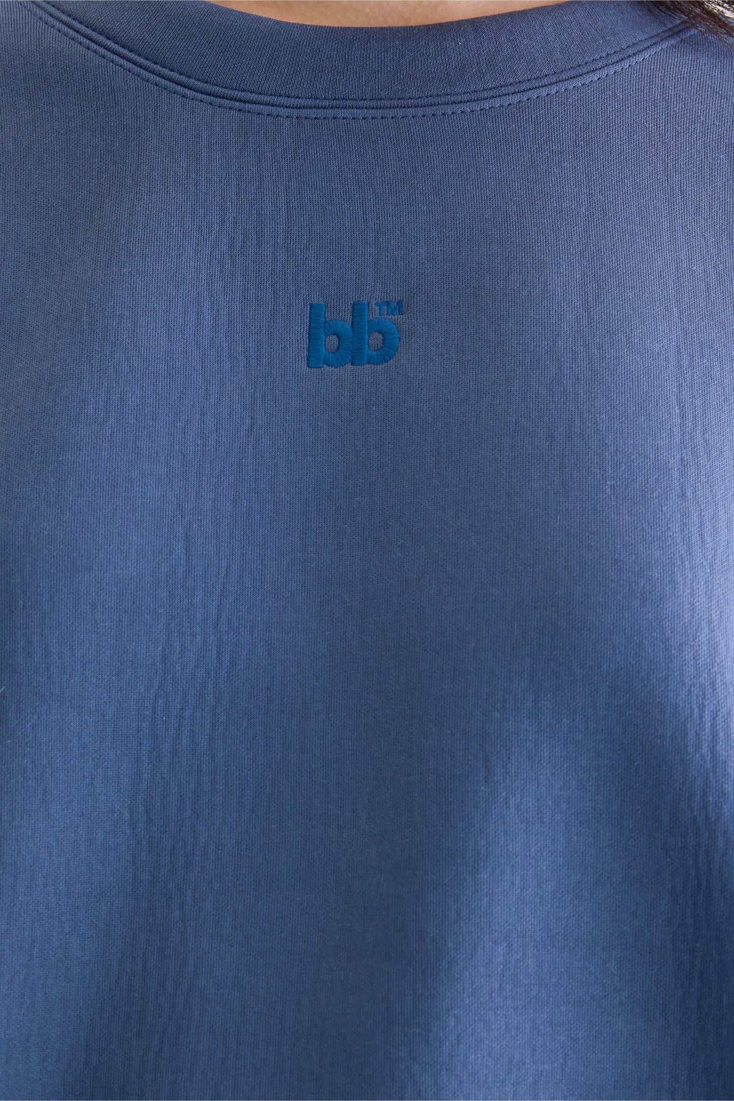 Trig crewneck sweatshirt (252 / W / BLUES)