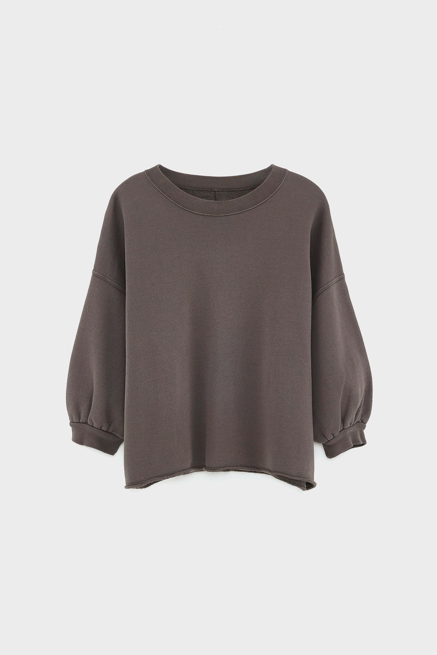 Vicske crewneck sweatshirt (252 / W / DARK ROAST)