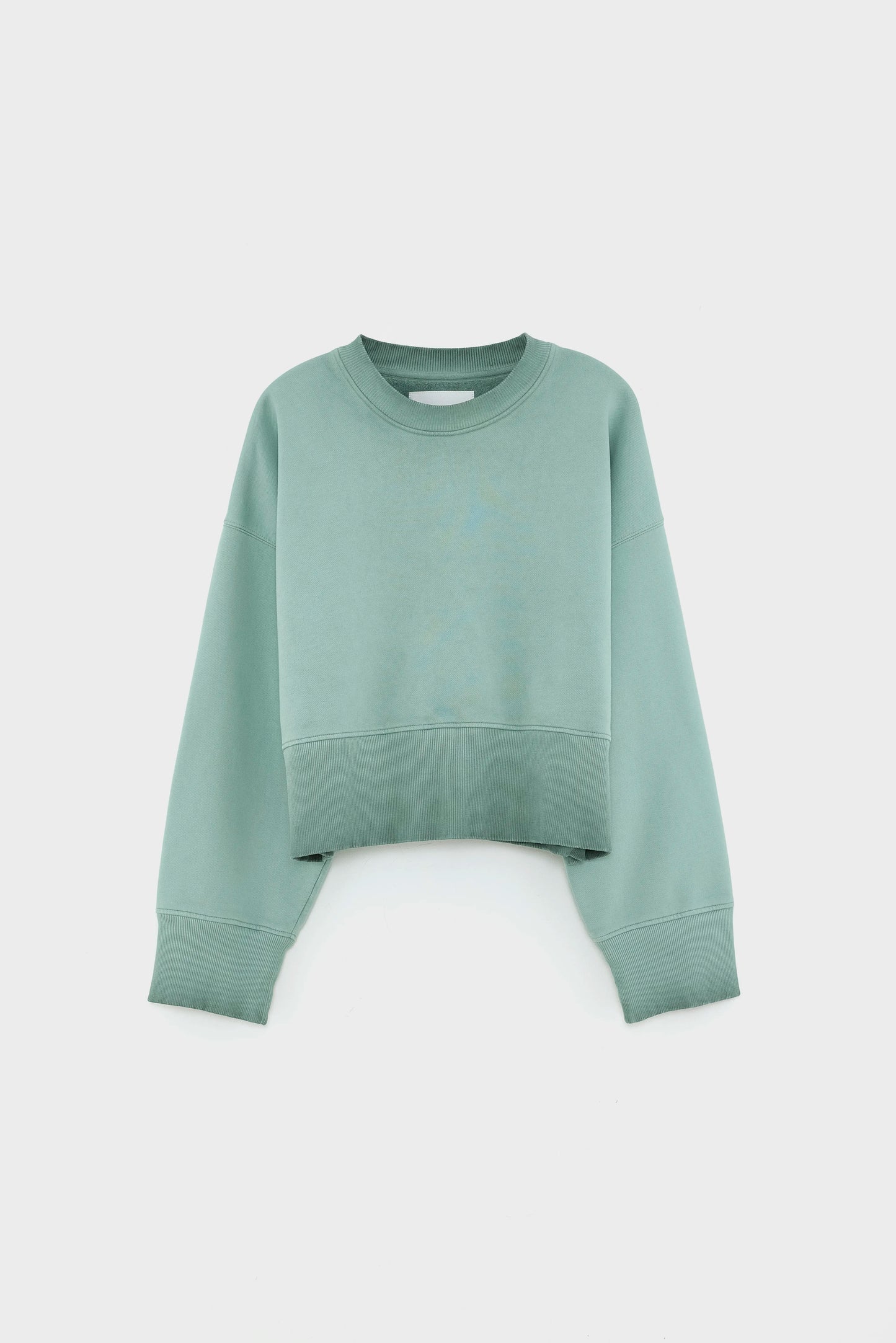 Slenni crewneck sweatshirt (252 / W / EUCALYPTUS)